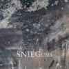 Small_sniegums-228x228-335
